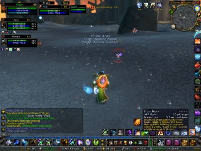 Shaman Friend