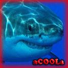 aCOOLa