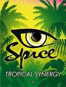 Spice_electro