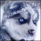 Клыкастый