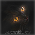 InvinciblE_007