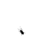 KoMed1AnT