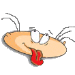 kazkaz