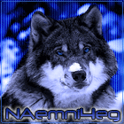 Naemni4eg